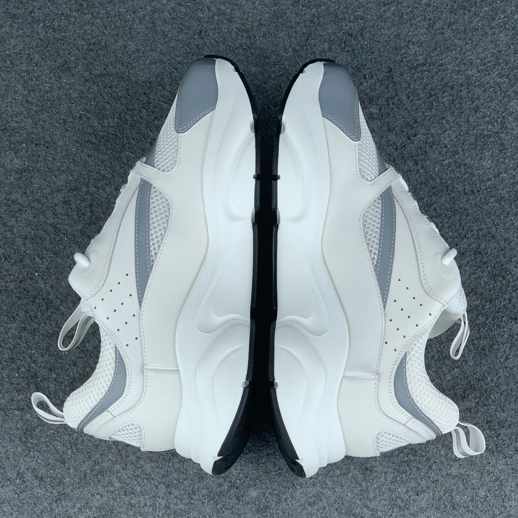 Dior B22 'White Grey'